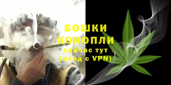 спиды Лагань