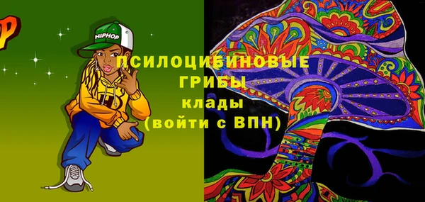 спиды Лагань