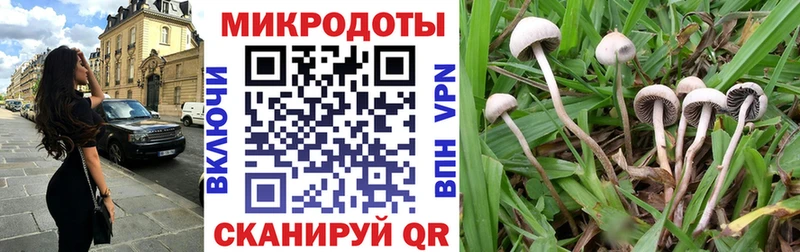 купить цена Мглин Галлюциногенные грибы мицелий